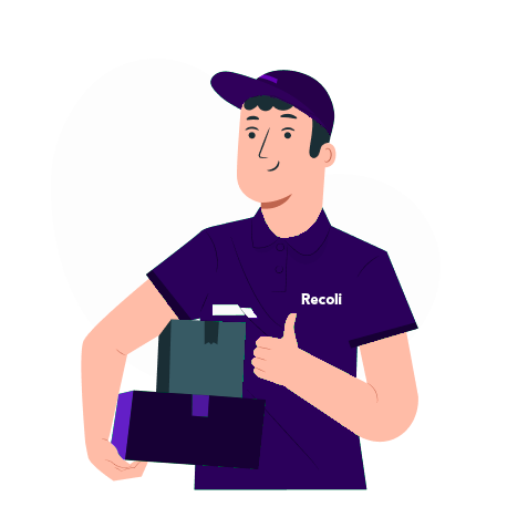 recoli-logistica-reversa site